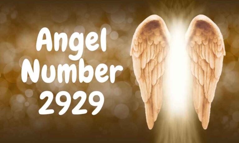 Angel Number 2929