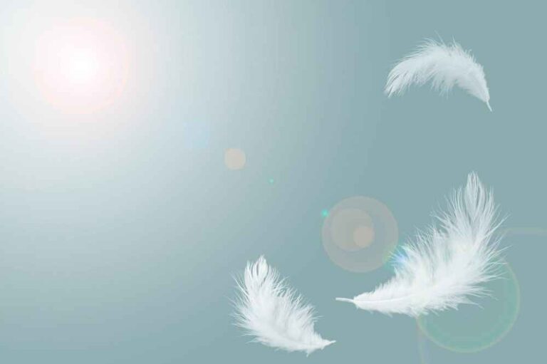 White Feather