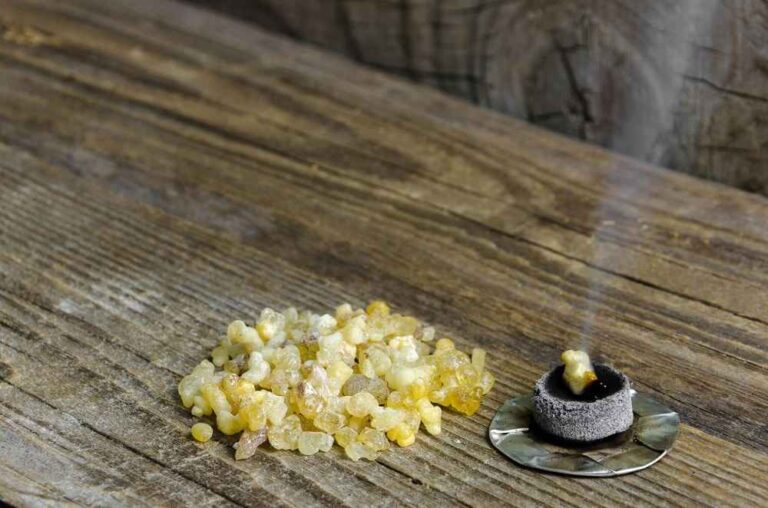 Golden Healer: The Healing Properties