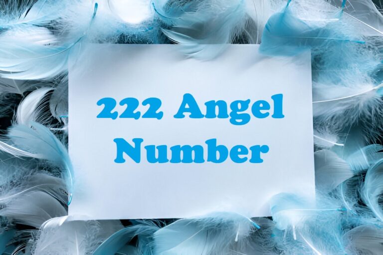 222 Angel Number